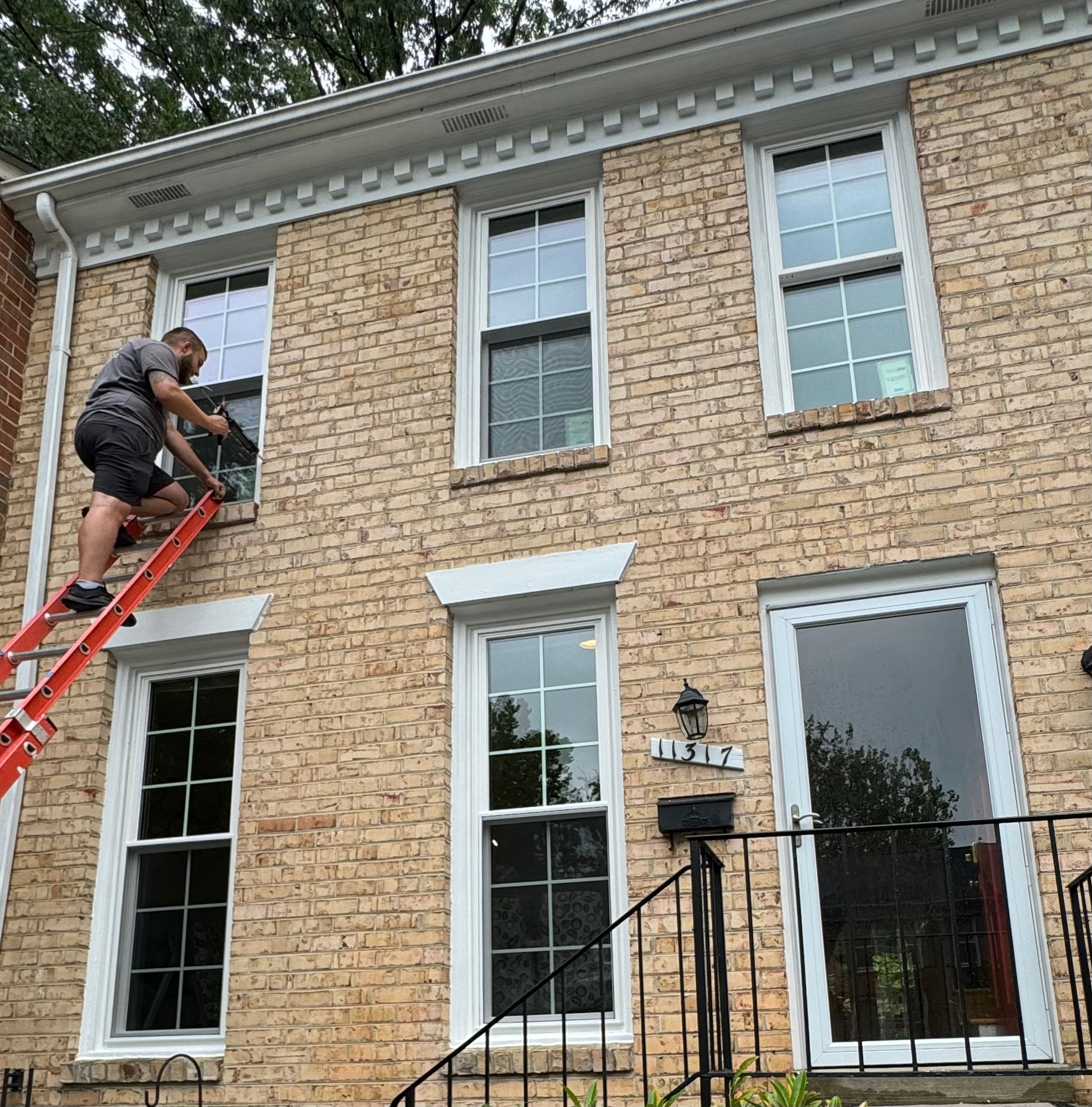 Full Window Replacement