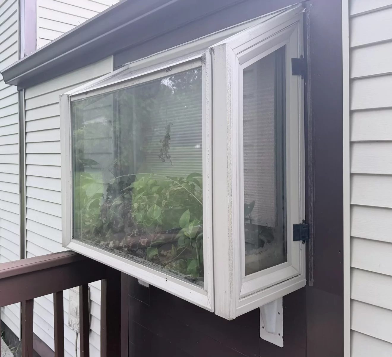 Exterior bay window with plants inside on residential siding