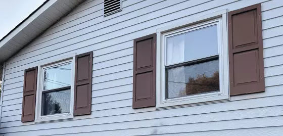 Window Screen Replacement project photo.