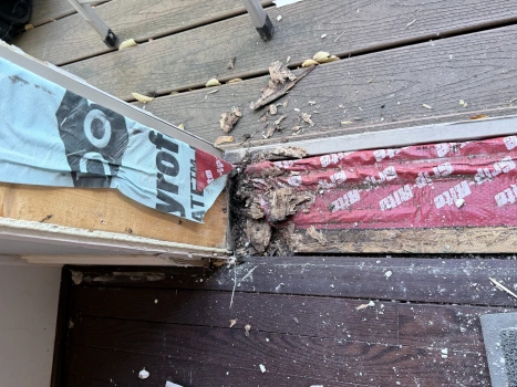 B231B38A-7777-425D-A394-AAB15505235D