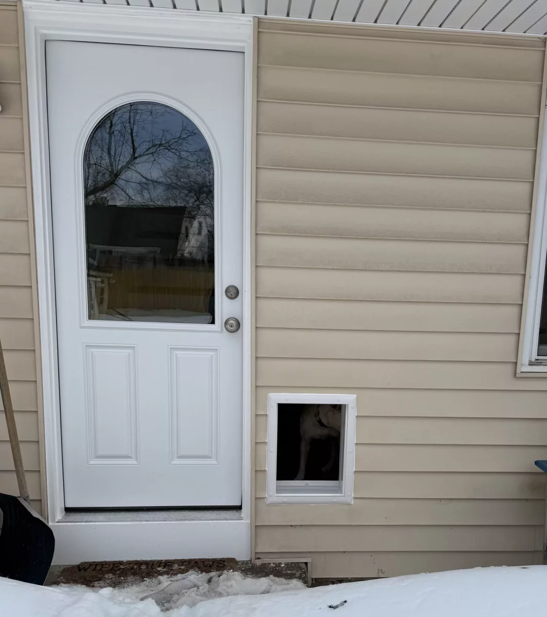 Exterior view of house with white door, window, and installed pet door in snow