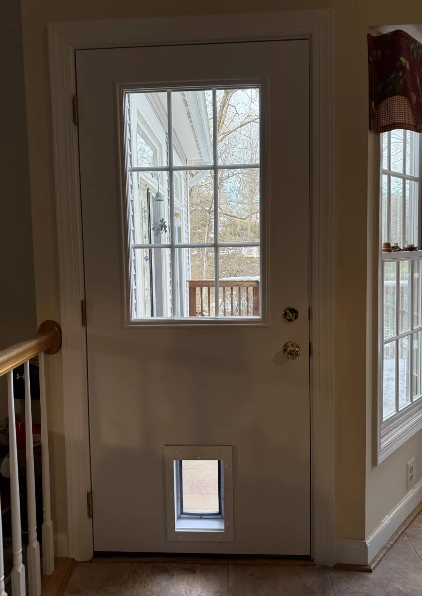 Interior view of a door with a pet door installed