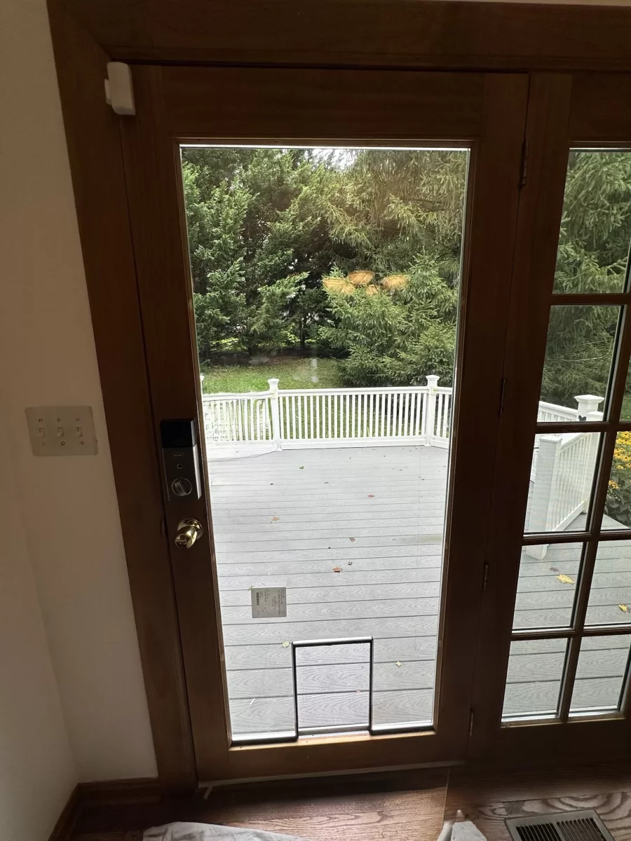 Wooden door with glass panel and installed pet door leading to deck