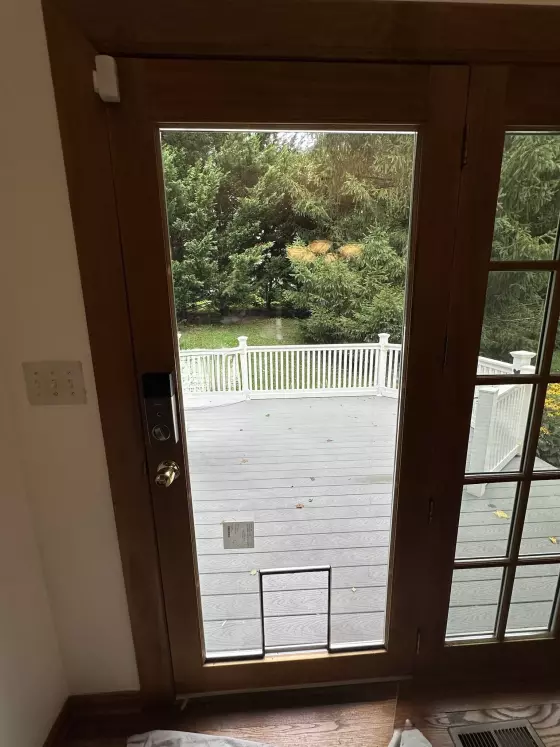 Wooden door with glass panel and installed pet door leading to deck
