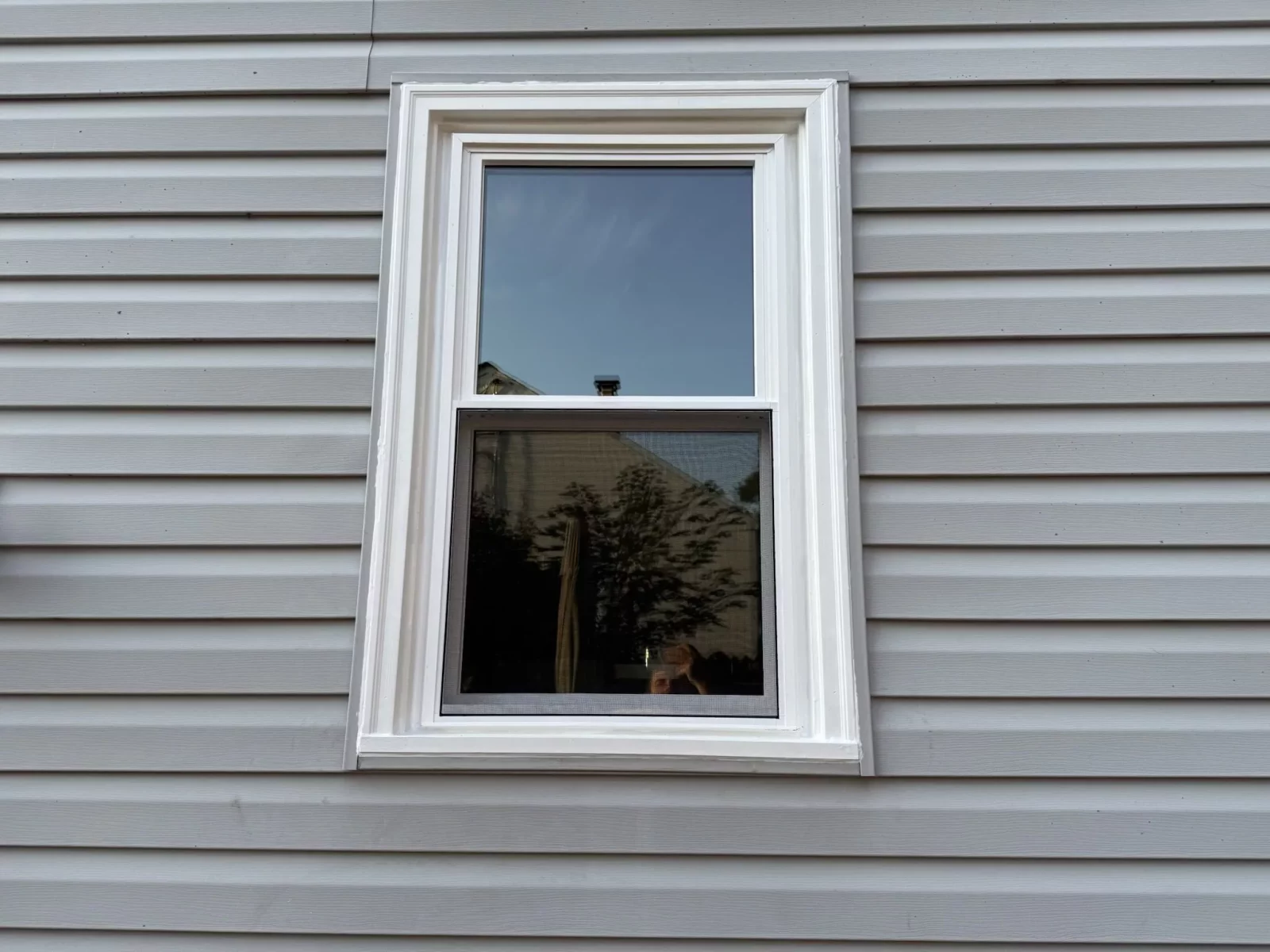 single window with white trim on gray siding exterior