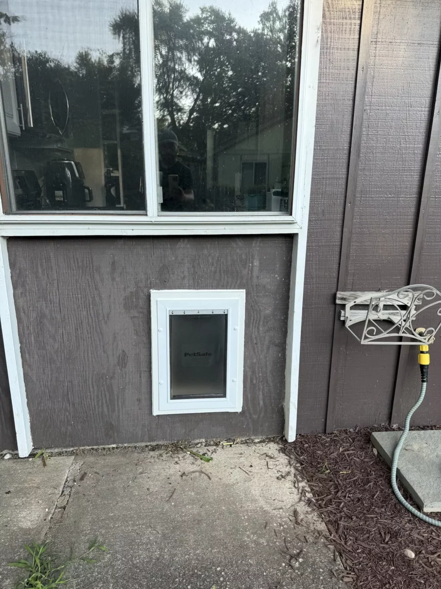 PetSafe pet door installed through exterior wall