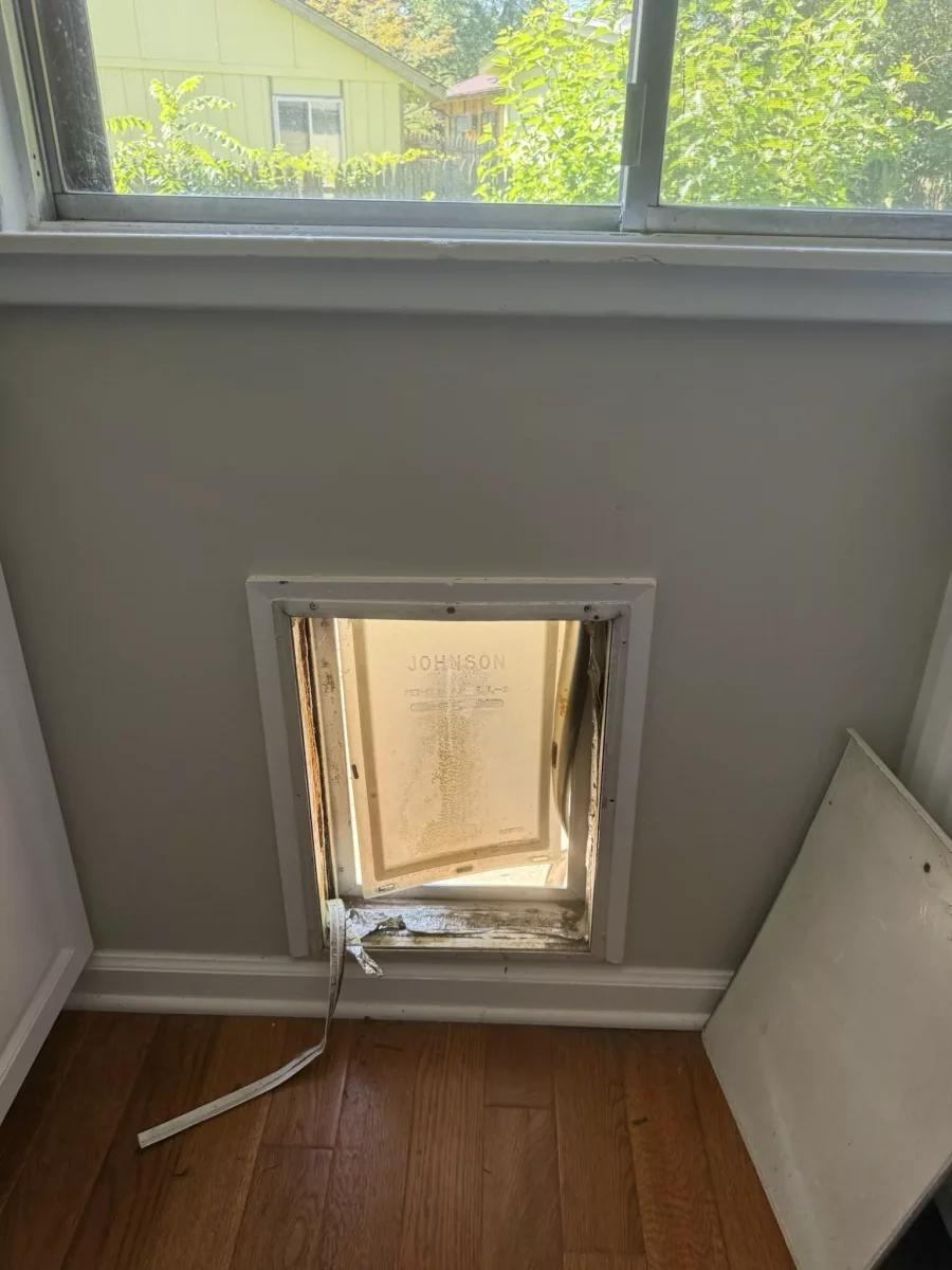 Interior wall with old pet door and window above