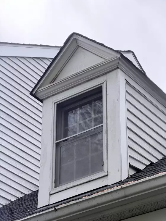 Exterior window with visible trim and siding damage