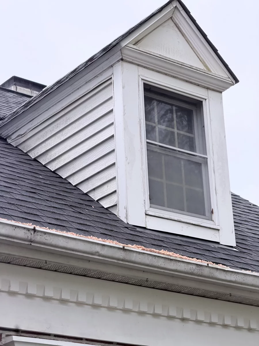 Exterior window with peeling paint and siding on residential home