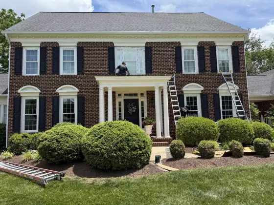 Whole-home energy-efficient window replacement in Rockville, MD, featuring white double-hung windows with grids.