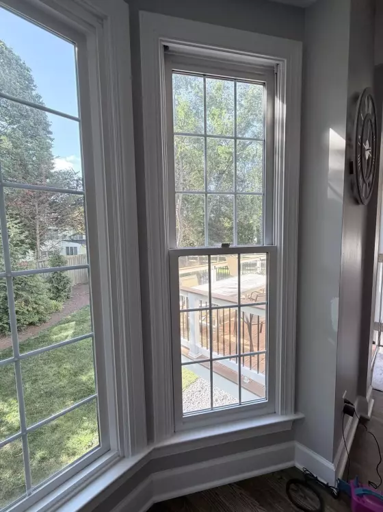 Interior view of double-hung windows with white trim overlooking backyard