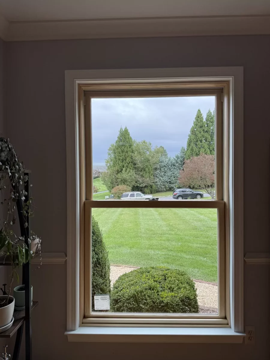 New Marvin Elevate double-hung window shown after full-frame replacement, with a natural-wood interior and finished white trim.