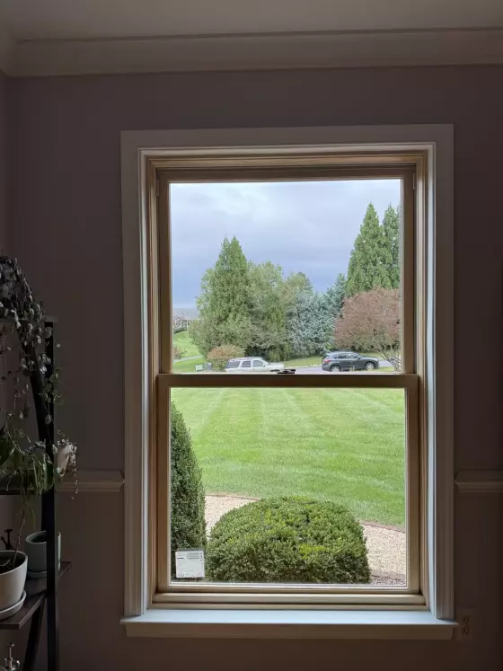 New Marvin Elevate double-hung window shown after full-frame replacement, with a natural-wood interior and finished white trim.