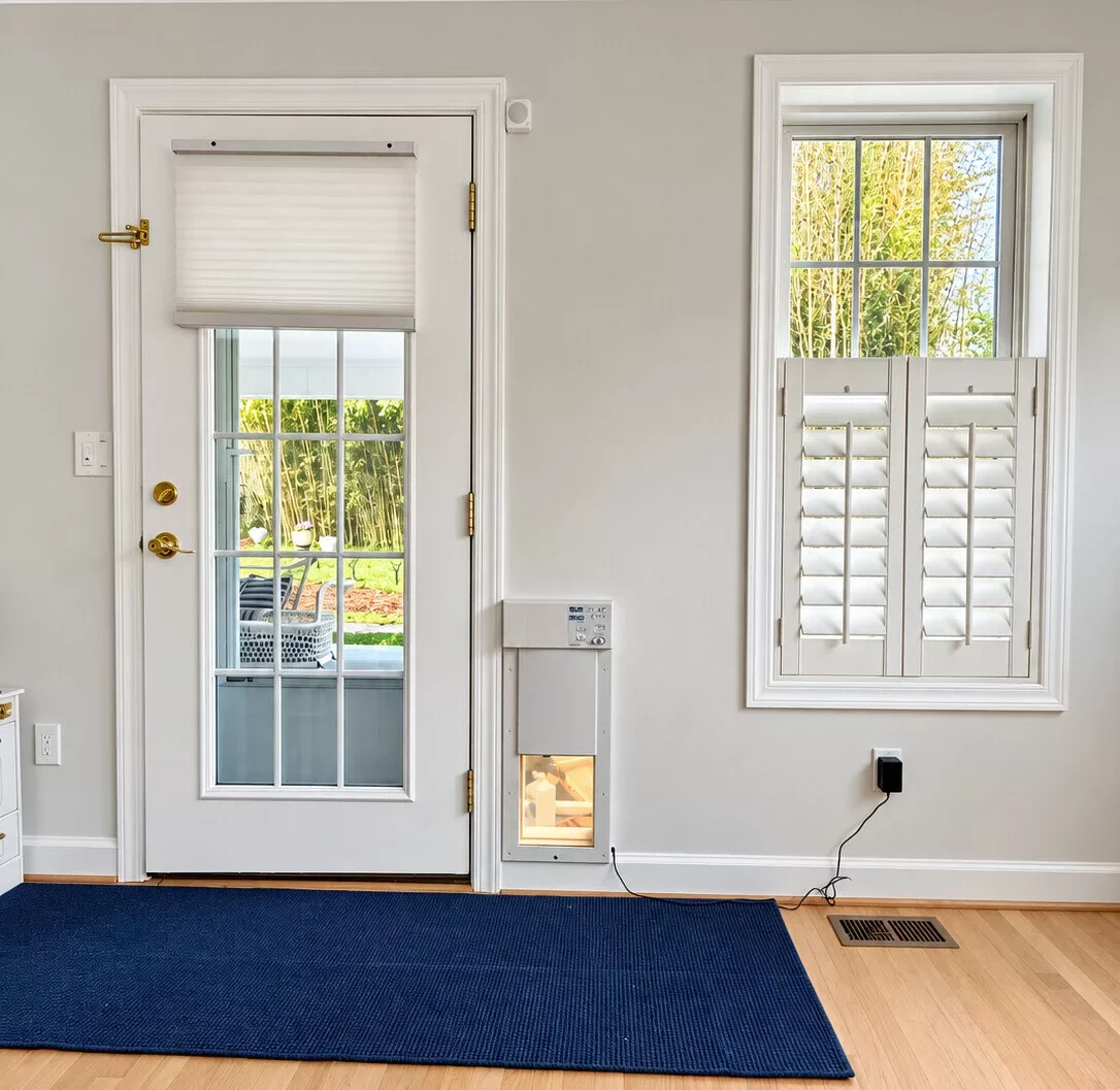 High Tech Pet smart dog door installed through an exterior wall in Chevy Chase, MD, providing convenient electronic pet access.