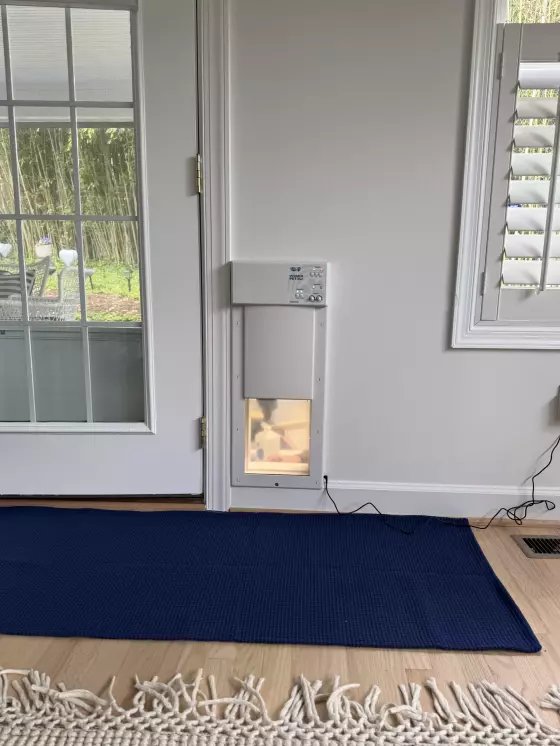 Installed electronic pet door in interior wall next to glass door