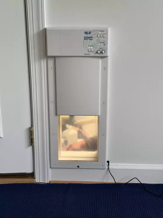Installed electronic pet door in an interior wall next to a door