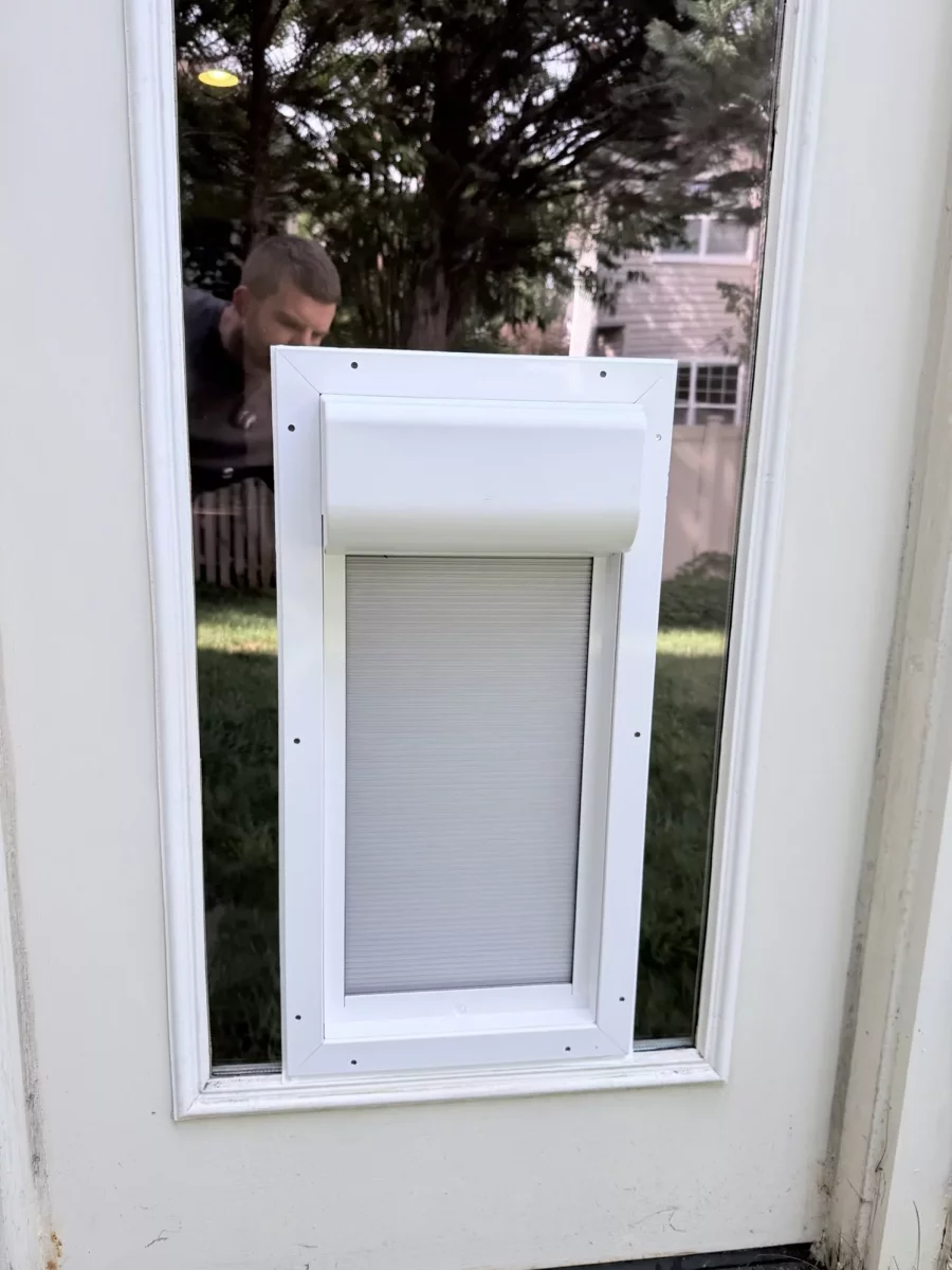 Installed pet door in a glass exterior door with white frame