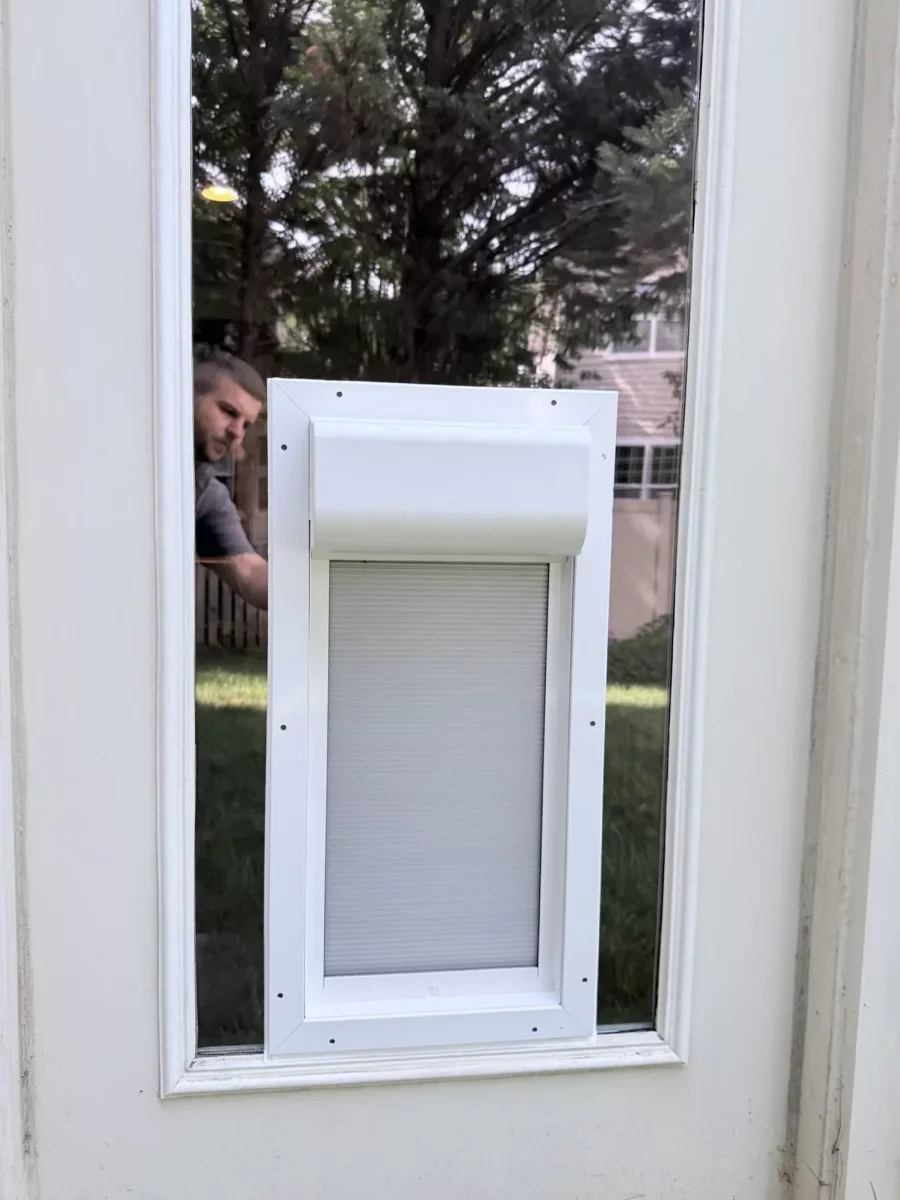 Installed pet door in a glass exterior door with white frame