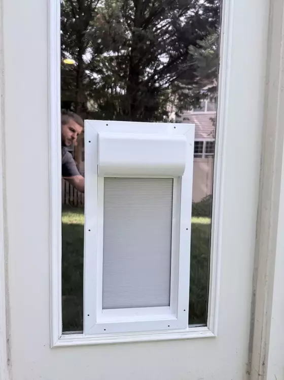 lms_LLqFTl