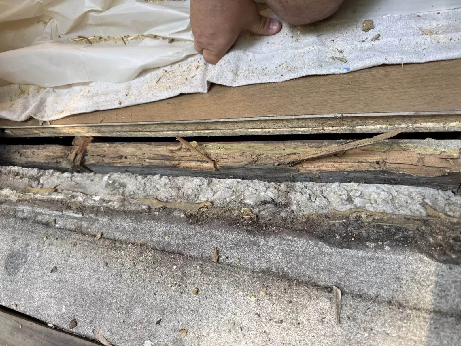 Rotted wood threshold and concrete visible during inspection