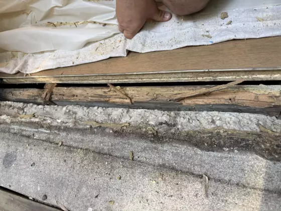 Rotted wood threshold and concrete visible during inspection