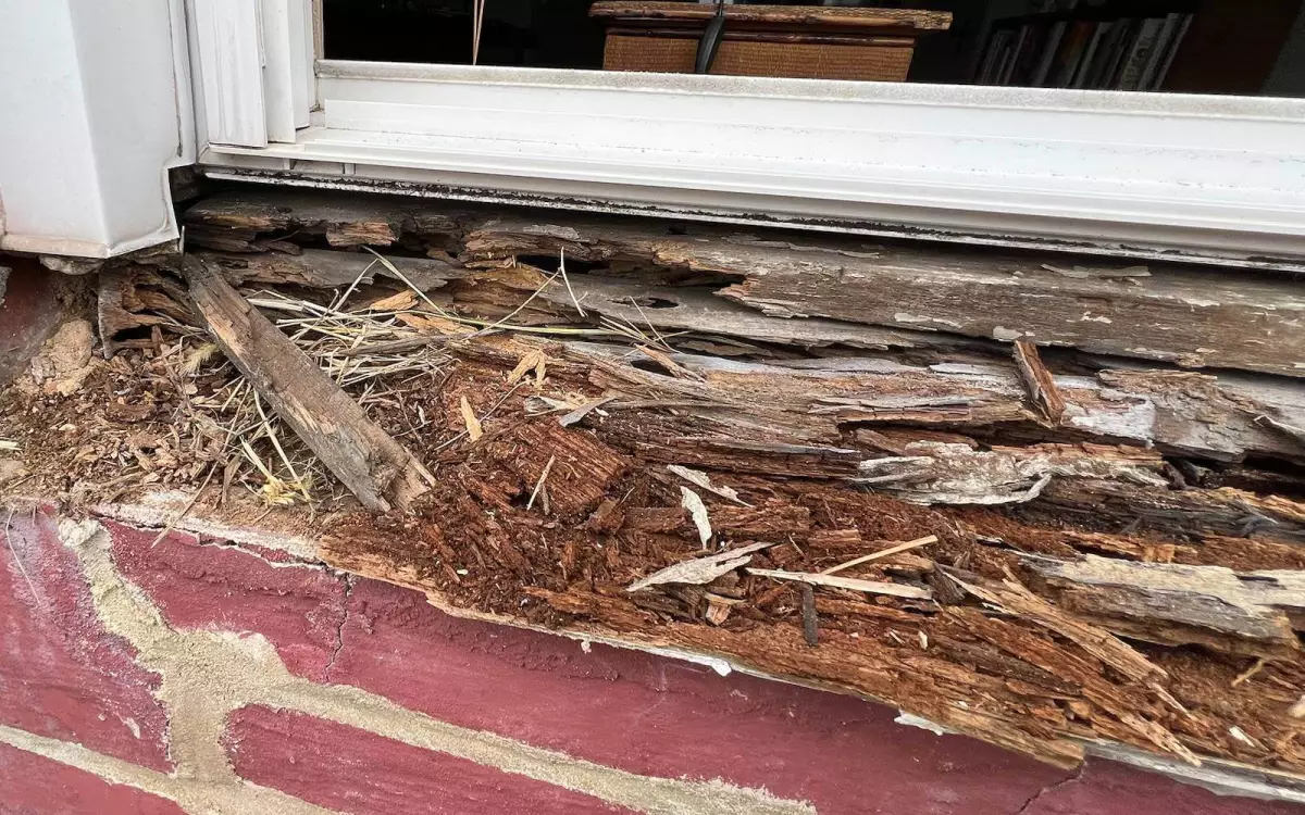 Rotted wooden window sill in a Maryland home, showing moisture damage. Photo by All Dwelling Solutions, Rockville, MD.